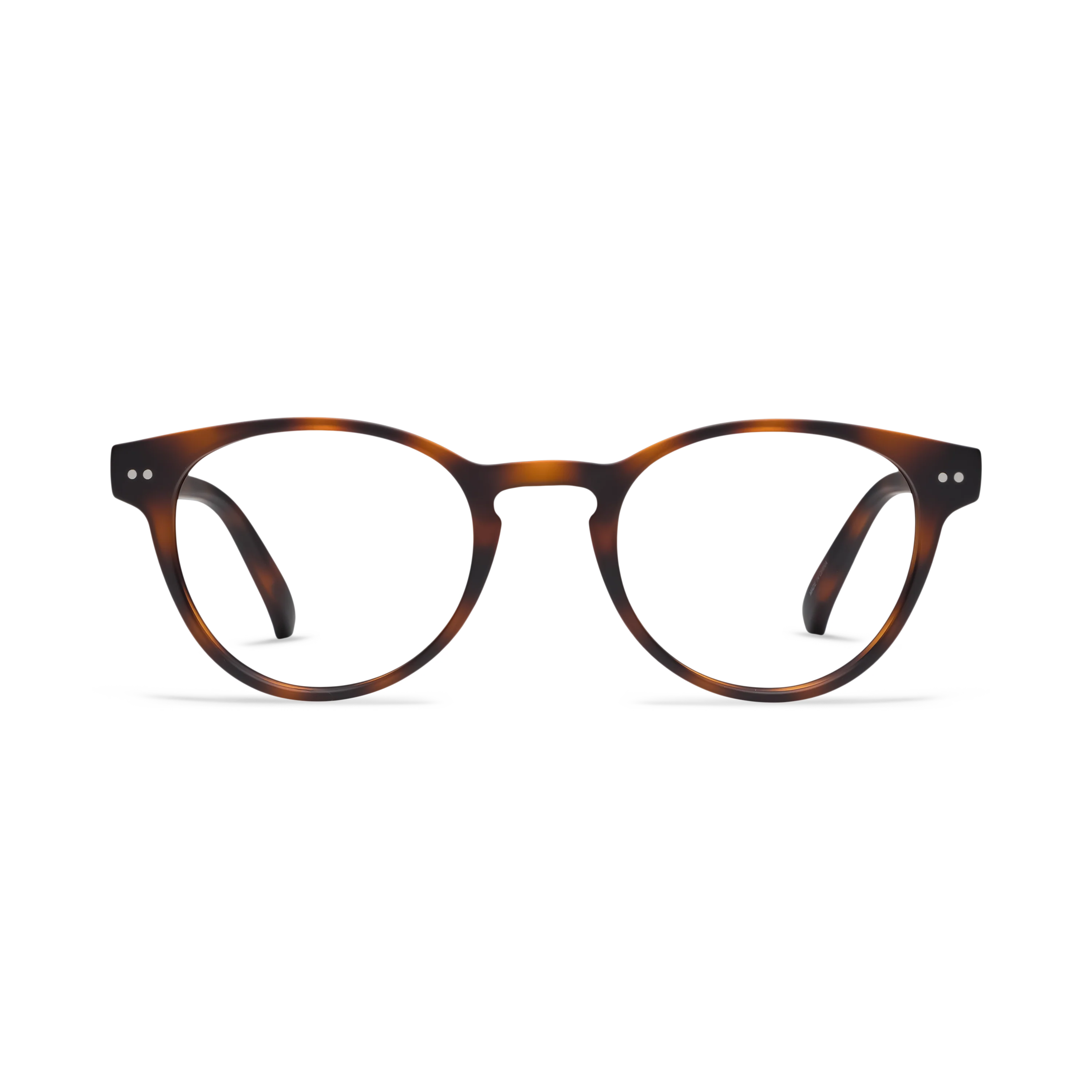 Abbey Progressives - Image 10