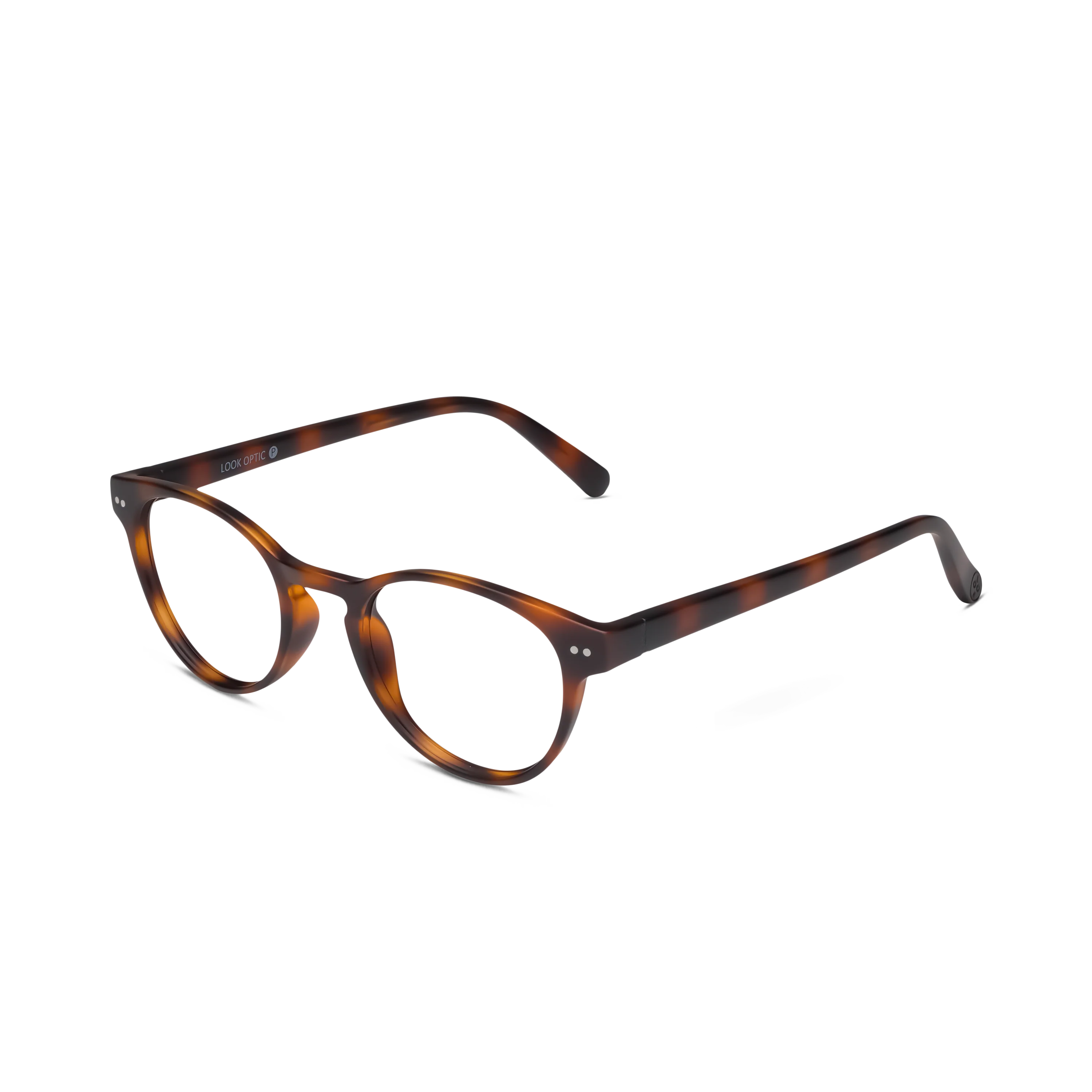 Abbey Progressives - Image 11