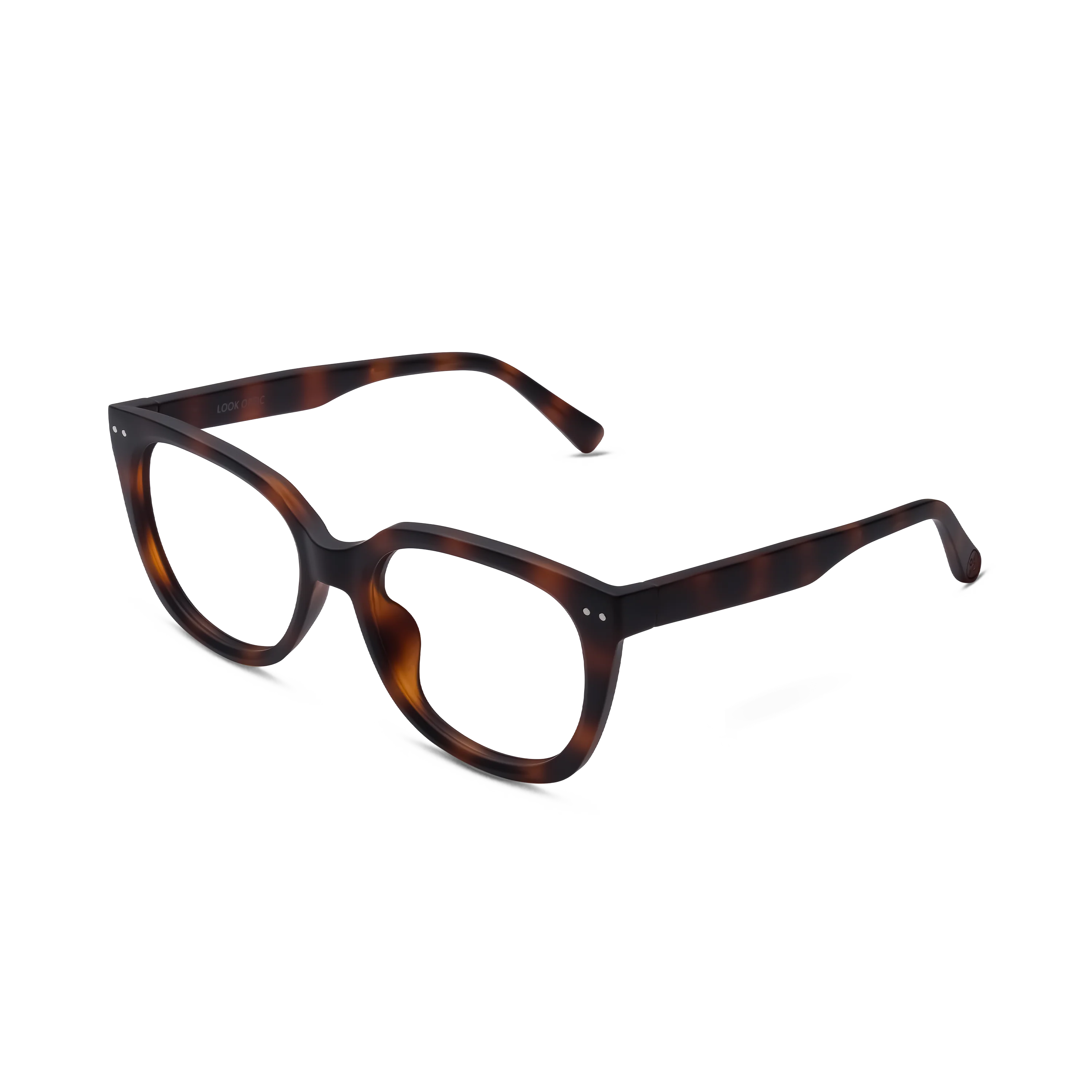 Evita Progressives - Image 10