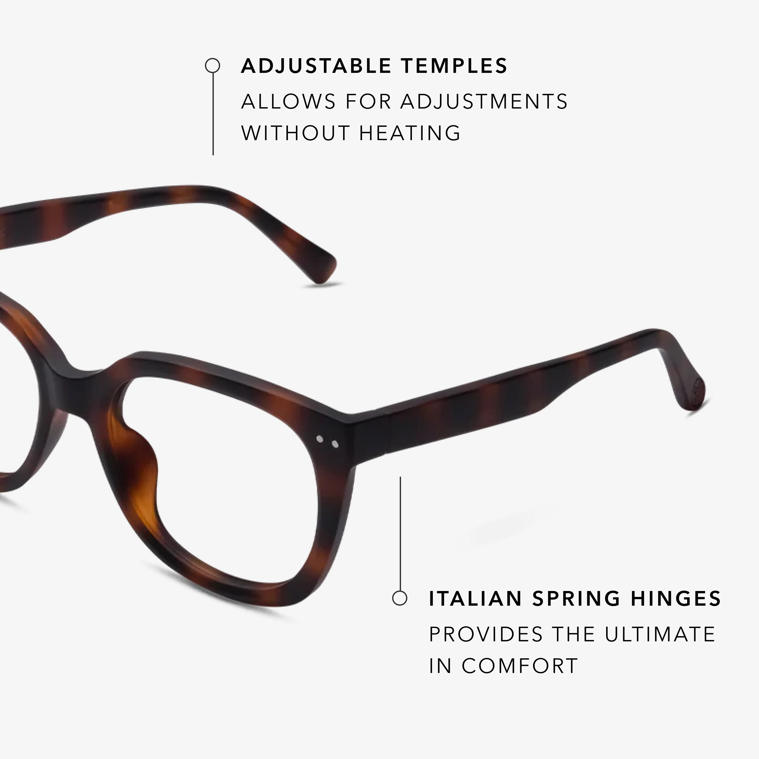 Evita Progressives - Image 11