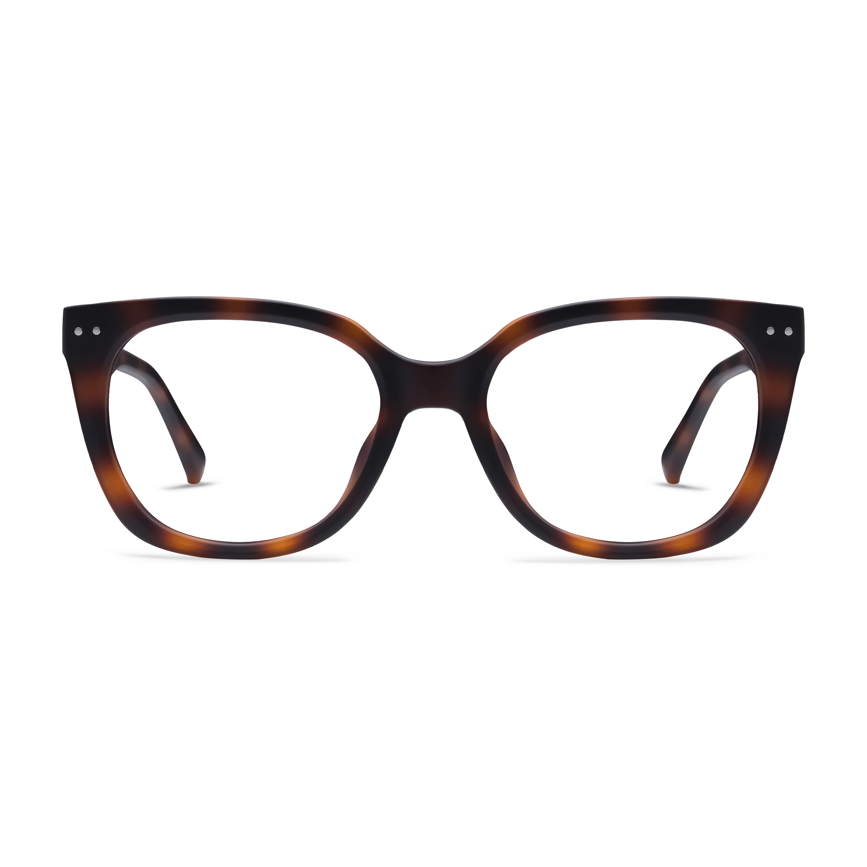 Evita Progressives - Image 9