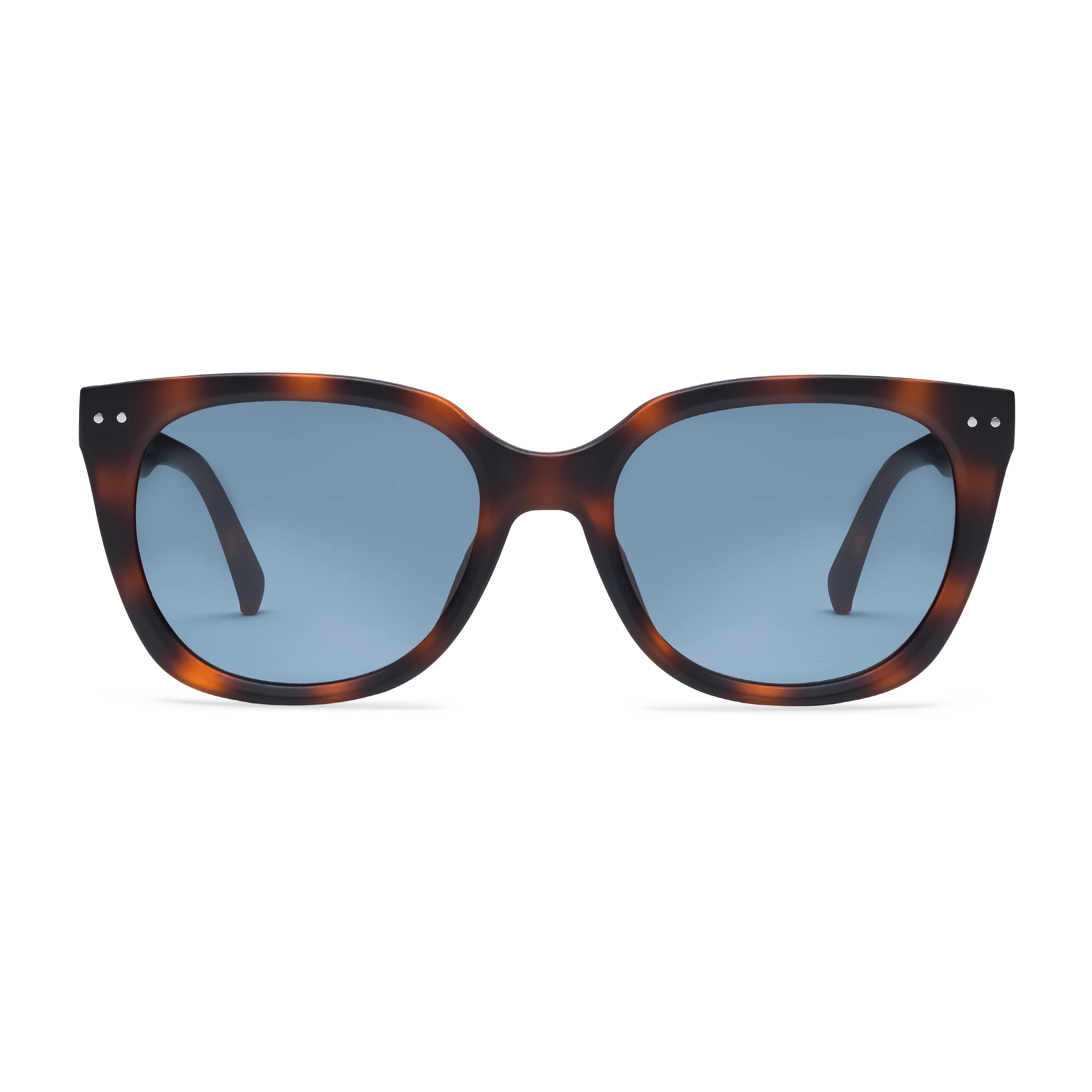 Evita Sun Progressives - Image 3