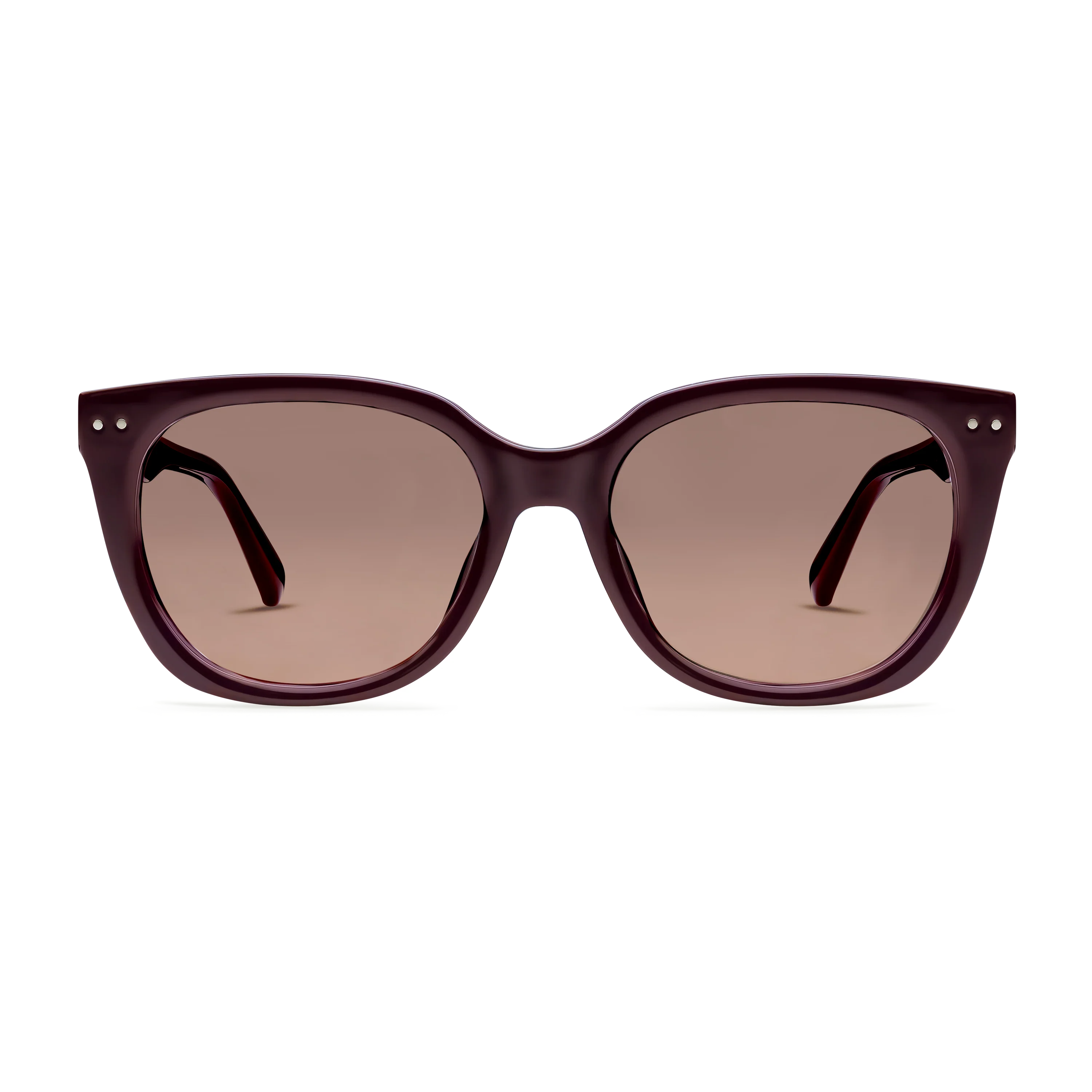 Evita Sun Progressives - Image 7