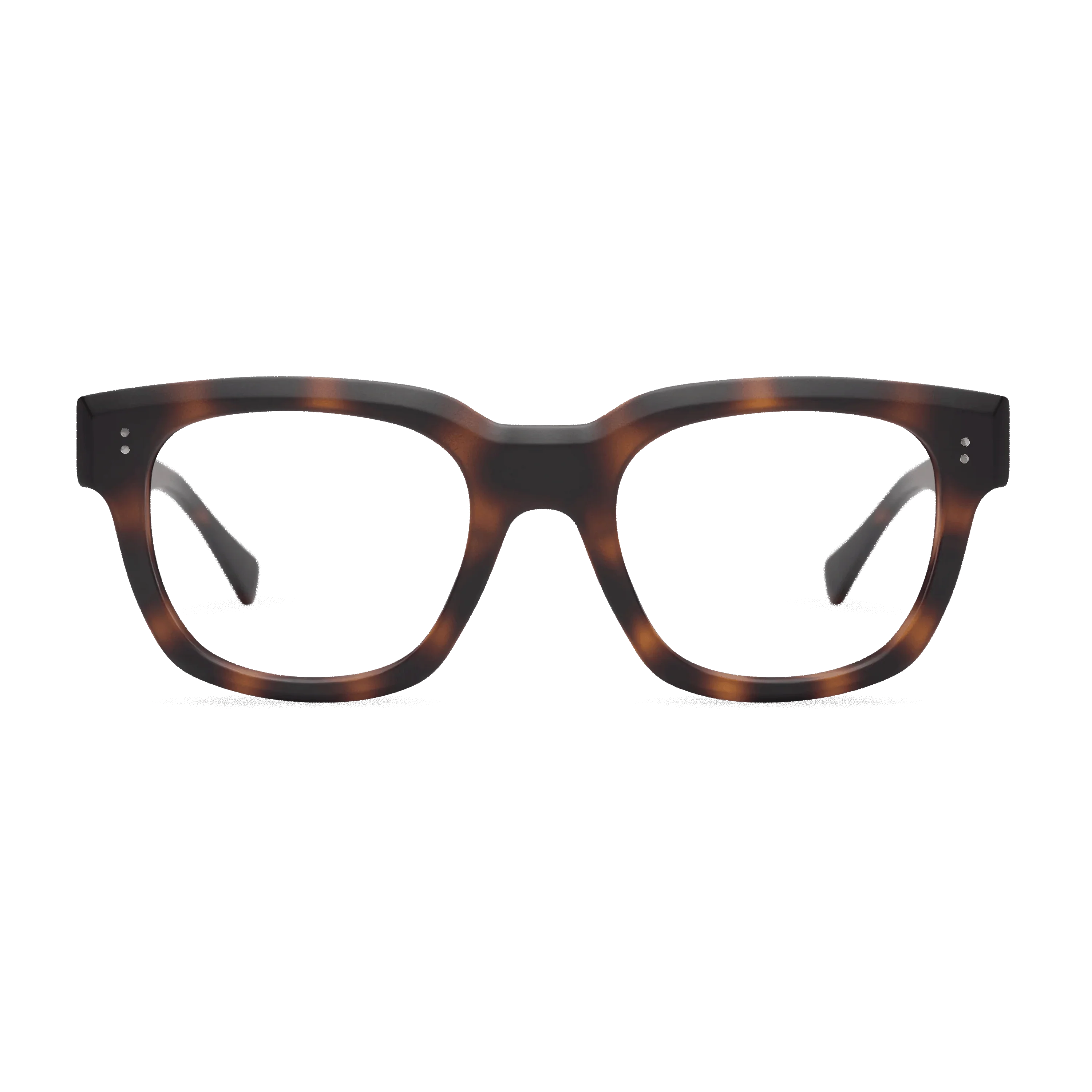 Kaine Progressives - Image 15