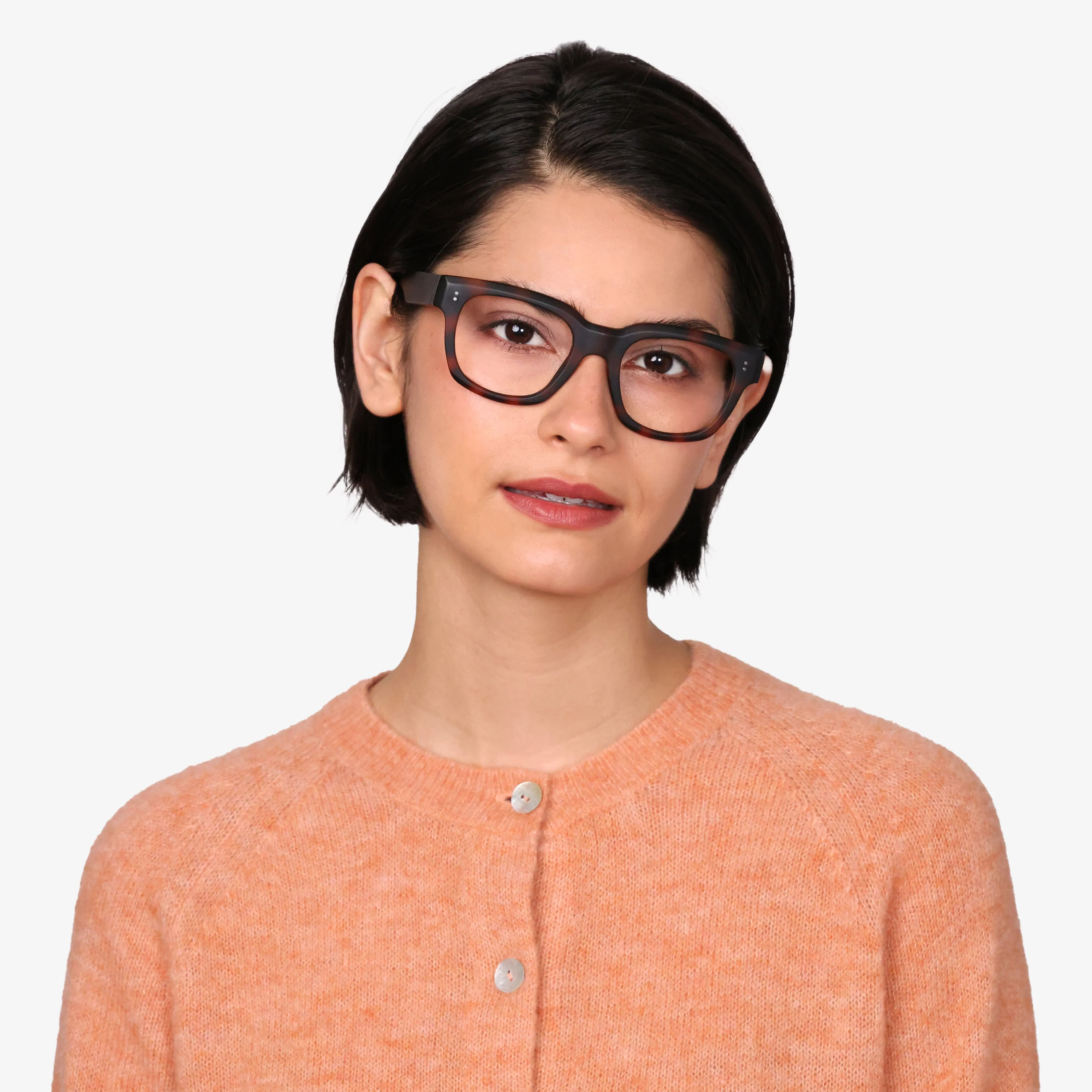 Kaine Progressives - Image 18