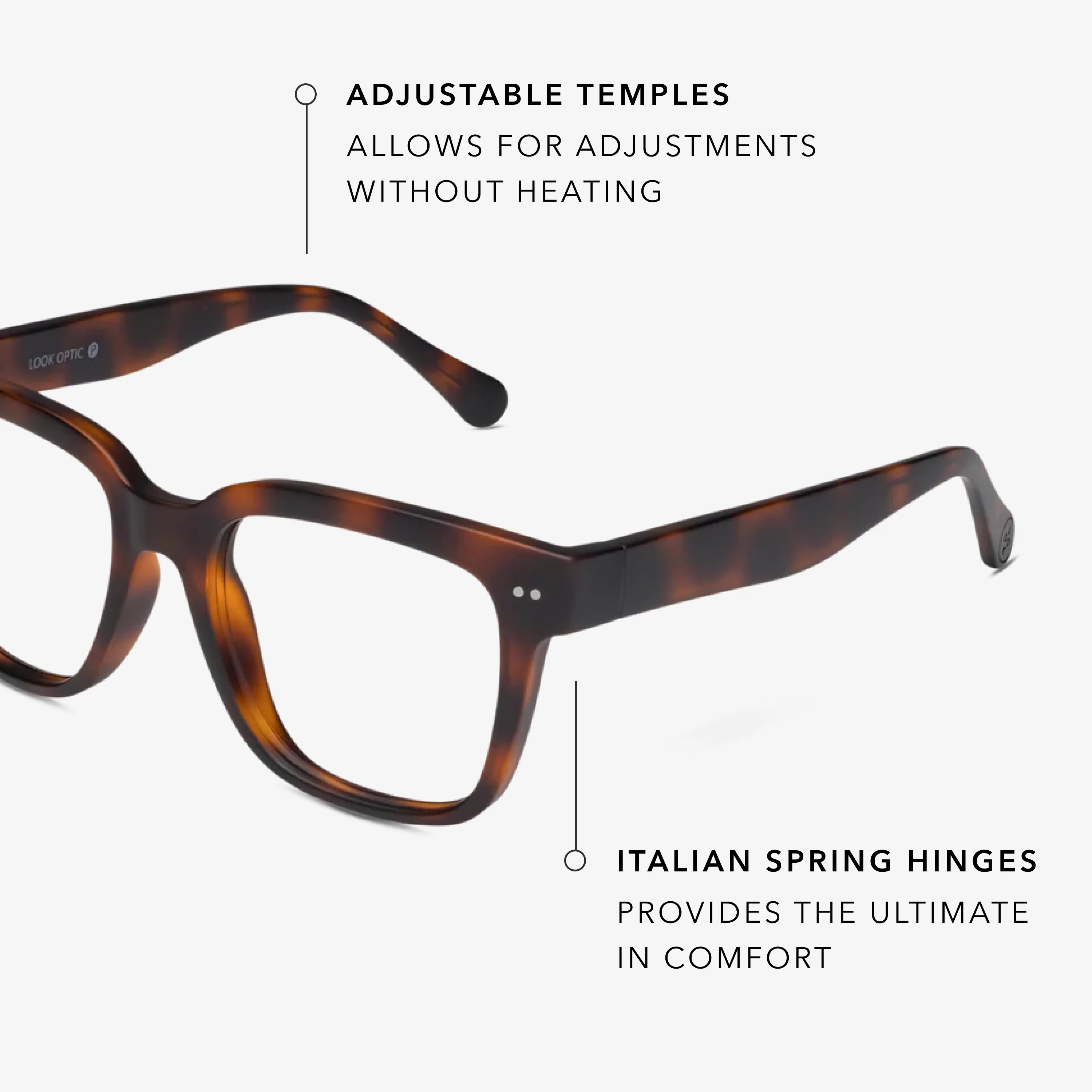 Laurel Progressives - Image 6