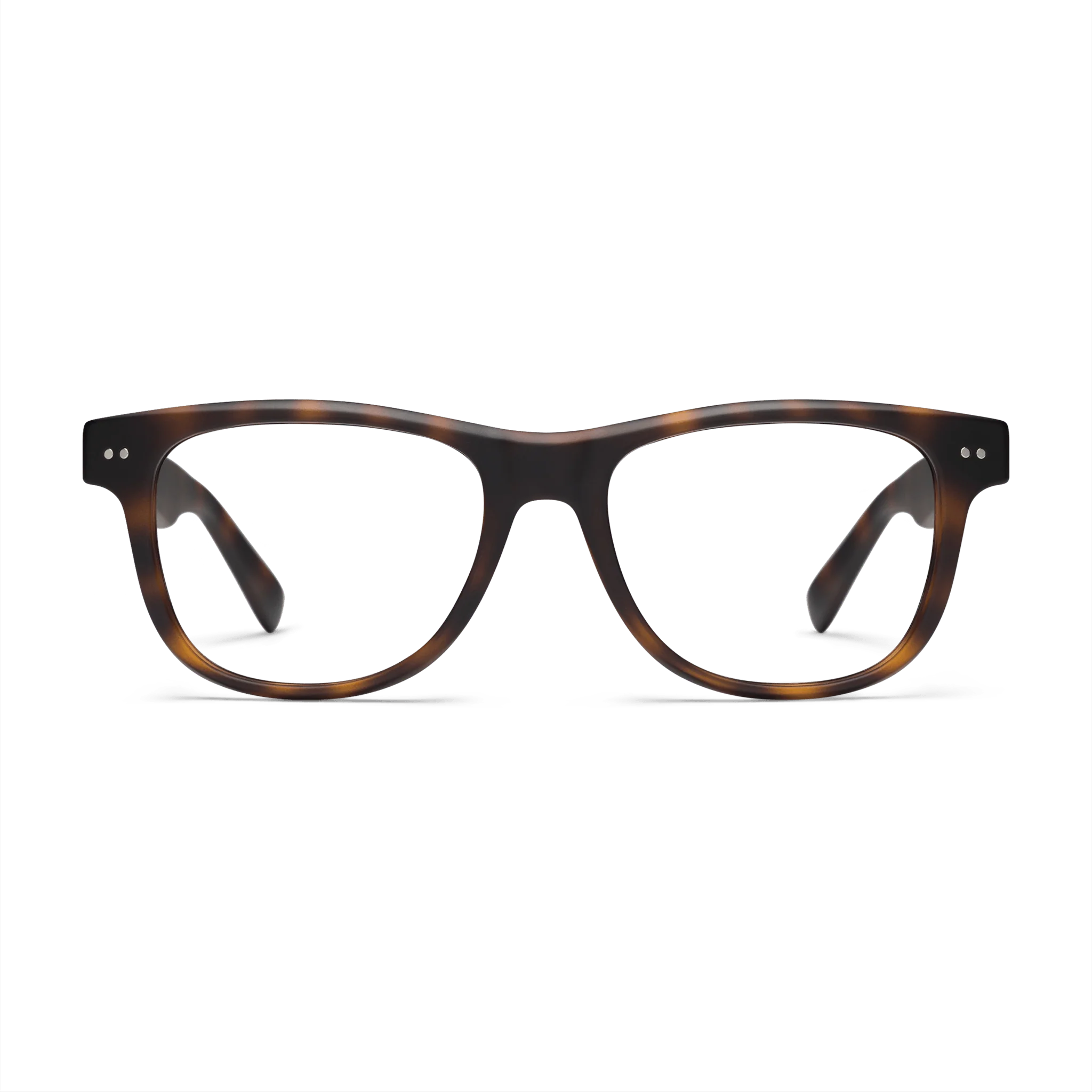 Sullivan Progressives - Image 9